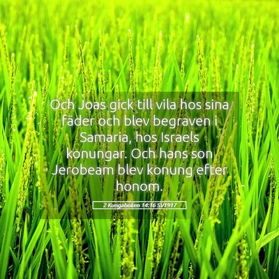 Picture 05 - 2 Kungaboken 14:16 SV1917 - Och Joas gick till vila hos sina fäder och blev - Bible Verse Picture