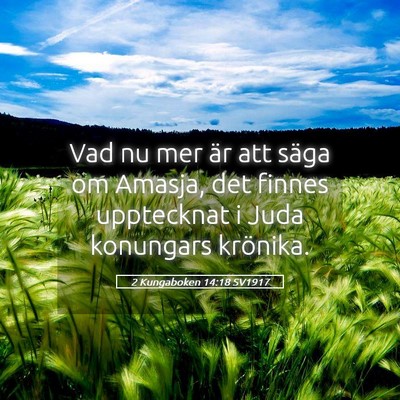 Picture 05 - 2 Kungaboken 14:18 SV1917 - Vad nu mer är att säga om Amasja, det finnes - Bible Verse Picture