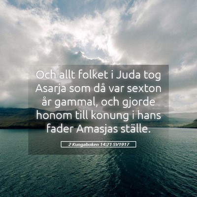 Picture 05 - 2 Kungaboken 14:21 SV1917 - Och allt folket i Juda tog Asarja som då var - Bible Verse Picture