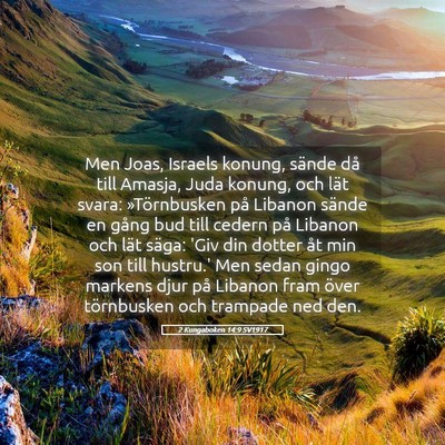 Picture 05 - 2 Kungaboken 14:9 SV1917 - Men Joas, Israels konung, sände då till Amasja, - Bible Verse Picture