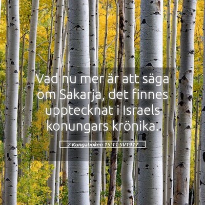 Picture 05 - 2 Kungaboken 15:11 SV1917 - Vad nu mer är att säga om Sakarja, det finnes - Bible Verse Picture