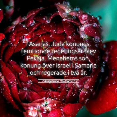 Picture 05 - 2 Kungaboken 15:23 SV1917 - I Asarjas, Juda konungs, femtionde regeringsår - Bible Verse Picture