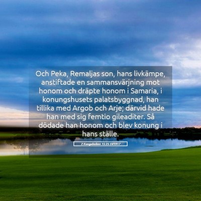 Picture 05 - 2 Kungaboken 15:25 SV1917 - Och Peka, Remaljas son, hans livkämpe, - Bible Verse Picture