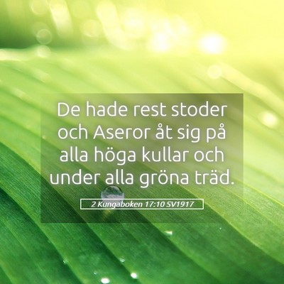 Picture 05 - 2 Kungaboken 17:10 SV1917 - De hade rest stoder och Aseror åt sig på alla - Bible Verse Picture