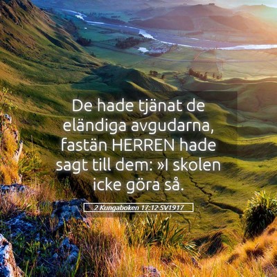 Picture 05 - 2 Kungaboken 17:12 SV1917 - De hade tjänat de eländiga avgudarna, fastän - Bible Verse Picture
