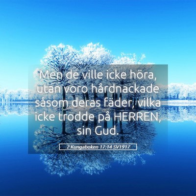 Picture 05 - 2 Kungaboken 17:14 SV1917 - Men de ville icke höra, utan voro hårdnackade - Bible Verse Picture