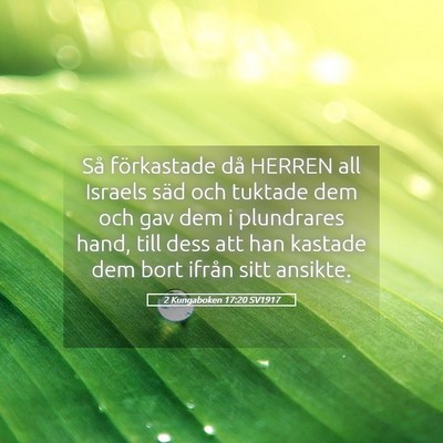 Picture 05 - 2 Kungaboken 17:20 SV1917 - Så förkastade då HERREN all Israels säd och - Bible Verse Picture
