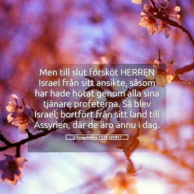Picture 05 - 2 Kungaboken 17:23 SV1917 - Men till slut försköt HERREN Israel från sitt - Bible Verse Picture