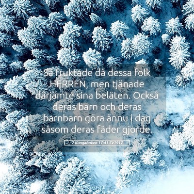 Picture 05 - 2 Kungaboken 17:41 SV1917 - Så fruktade då dessa folk HERREN, men tjänade - Bible Verse Picture