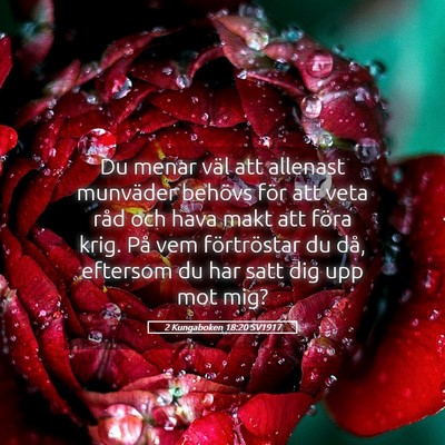 Picture 05 - 2 Kungaboken 18:20 SV1917 - Du menar väl att allenast munväder behövs för - Bible Verse Picture