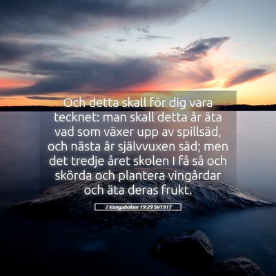 Picture 05 - 2 Kungaboken 19:29 SV1917 - Och detta skall för dig vara tecknet: man skall - Bible Verse Picture
