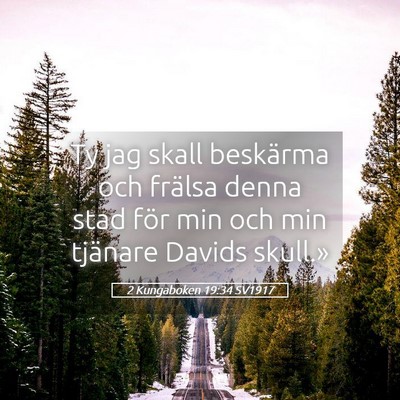 Picture 05 - 2 Kungaboken 19:34 SV1917 - Ty jag skall beskärma och frälsa denna stad - Bible Verse Picture