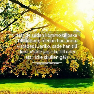 Picture 05 - 2 Kungaboken 2:18 SV1917 - När de sedan kommo tillbaka till honom, medan - Bible Verse Picture