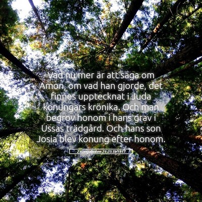 Picture 05 - 2 Kungaboken 21:25 SV1917 - Vad nu mer är att säga om Amon, om vad han - Bible Verse Picture
