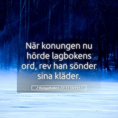 Picture 05 - 2 Kungaboken 22:11 SV1917 - När konungen nu hörde lagbokens ord, rev han - Bible Verse Picture