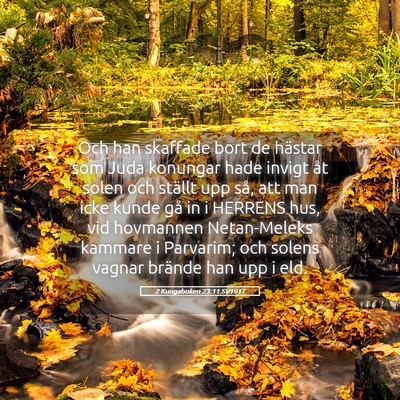 Picture 05 - 2 Kungaboken 23:11 SV1917 - Och han skaffade bort de hästar som Juda - Bible Verse Picture