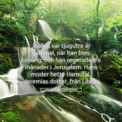 Picture 05 - 2 Kungaboken 23:31 SV1917 - Joahas var tjugutre år gammal, när han blev - Bible Verse Picture