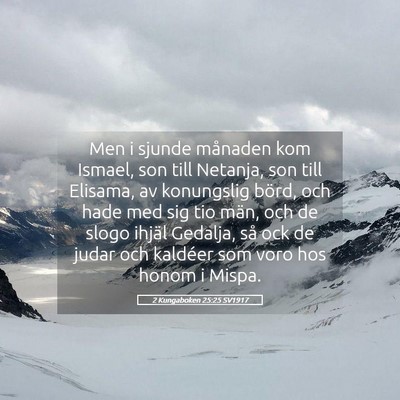 Picture 05 - 2 Kungaboken 25:25 SV1917 - Men i sjunde månaden kom Ismael, son till - Bible Verse Picture