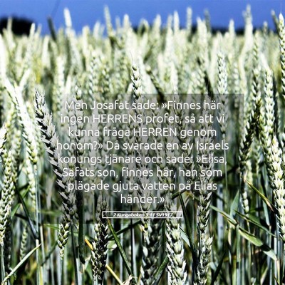 Picture 05 - 2 Kungaboken 3:11 SV1917 - Men Josafat sade: »Finnes här ingen HERRENS - Bible Verse Picture
