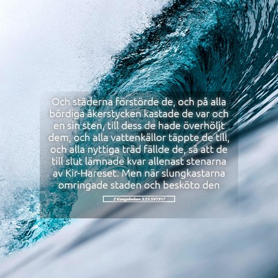 Picture 05 - 2 Kungaboken 3:25 SV1917 - Och städerna förstörde de, och på alla - Bible Verse Picture