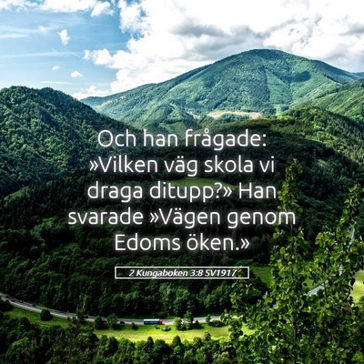 Picture 05 - 2 Kungaboken 3:8 SV1917 - Och han frågade: »Vilken väg skola vi draga - Bible Verse Picture