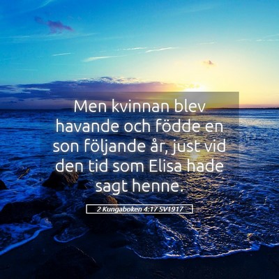 Picture 05 - 2 Kungaboken 4:17 SV1917 - Men kvinnan blev havande och födde en son - Bible Verse Picture