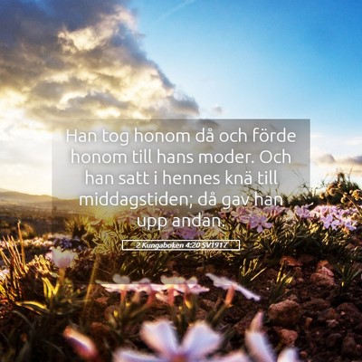 Picture 05 - 2 Kungaboken 4:20 SV1917 - Han tog honom då och förde honom till hans - Bible Verse Picture
