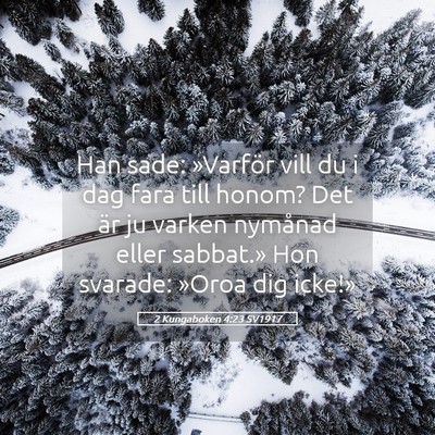 Picture 05 - 2 Kungaboken 4:23 SV1917 - Han sade: »Varför vill du i dag fara till - Bible Verse Picture