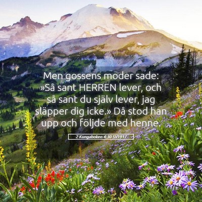 Picture 05 - 2 Kungaboken 4:30 SV1917 - Men gossens moder sade: »Så sant HERREN lever, - Bible Verse Picture