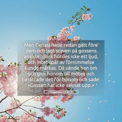 Picture 05 - 2 Kungaboken 4:31 SV1917 - Men Gehasi hade redan gått före dem och lagt - Bible Verse Picture
