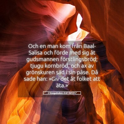 Picture 05 - 2 Kungaboken 4:42 SV1917 - Och en man kom från Baal-Salisa och förde med - Bible Verse Picture