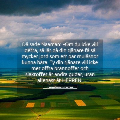 Picture 05 - 2 Kungaboken 5:17 SV1917 - Då sade Naaman: »Om du icke vill detta, så - Bible Verse Picture