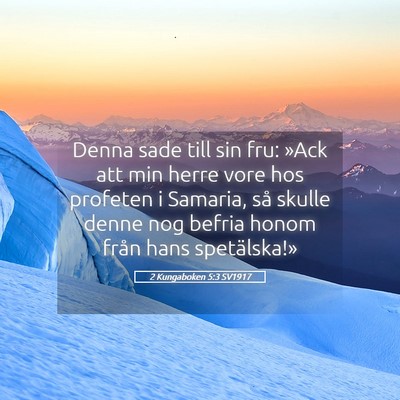 Picture 05 - 2 Kungaboken 5:3 SV1917 - Denna sade till sin fru: »Ack att min herre vore - Bible Verse Picture