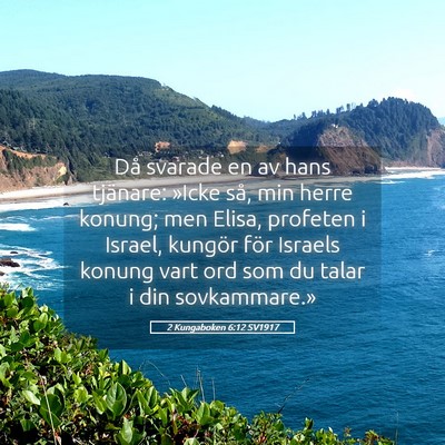 Picture 05 - 2 Kungaboken 6:12 SV1917 - Då svarade en av hans tjänare: »Icke så, min - Bible Verse Picture