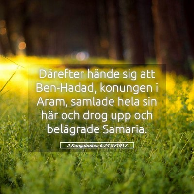 Picture 05 - 2 Kungaboken 6:24 SV1917 - Därefter hände sig att Ben-Hadad, konungen i - Bible Verse Picture