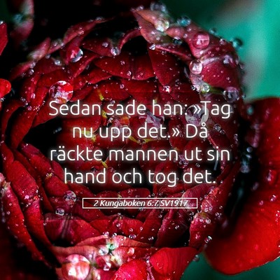 Picture 05 - 2 Kungaboken 6:7 SV1917 - Sedan sade han: »Tag nu upp det.» Då räckte - Bible Verse Picture