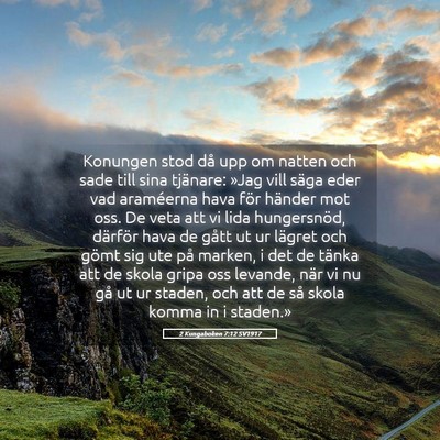 Picture 05 - 2 Kungaboken 7:12 SV1917 - Konungen stod då upp om natten och sade till - Bible Verse Picture
