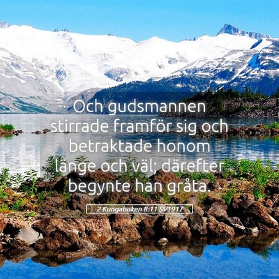 Picture 05 - 2 Kungaboken 8:11 SV1917 - Och gudsmannen stirrade framför sig och - Bible Verse Picture