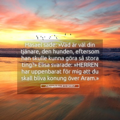 Picture 05 - 2 Kungaboken 8:13 SV1917 - Hasael sade: »Vad är väl din tjänare, den - Bible Verse Picture