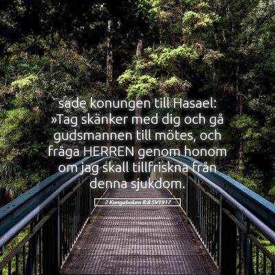 Picture 05 - 2 Kungaboken 8:8 SV1917 - sade konungen till Hasael: »Tag skänker med dig - Bible Verse Picture