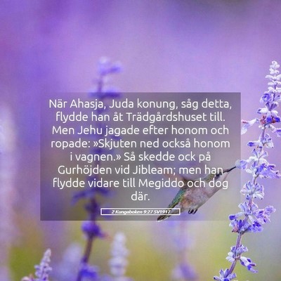 Picture 05 - 2 Kungaboken 9:27 SV1917 - När Ahasja, Juda konung, såg detta, flydde han - Bible Verse Picture