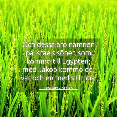 Picture 05 - 2 Mosebok 1:1 SV1917 - Och dessa äro namnen på Israels söner, som - Bible Verse Picture