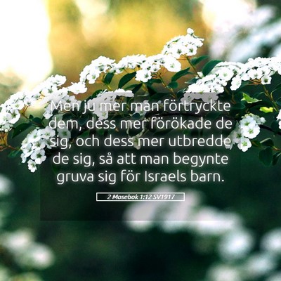 Picture 05 - 2 Mosebok 1:12 SV1917 - Men ju mer man förtryckte dem, dess mer - Bible Verse Picture