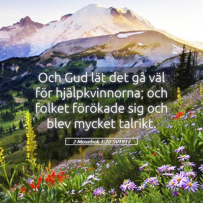 Picture 05 - 2 Mosebok 1:20 SV1917 - Och Gud lät det gå väl för hjälpkvinnorna; - Bible Verse Picture