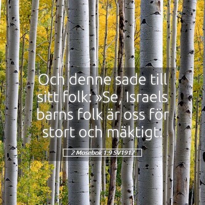Picture 05 - 2 Mosebok 1:9 SV1917 - Och denne sade till sitt folk: »Se, Israels - Bible Verse Picture