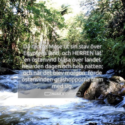 Picture 05 - 2 Mosebok 10:13 SV1917 - Då räckte Mose ut sin stav över Egyptens land, - Bible Verse Picture