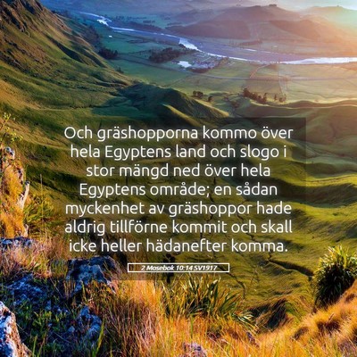 Picture 05 - 2 Mosebok 10:14 SV1917 - Och gräshopporna kommo över hela Egyptens land - Bible Verse Picture