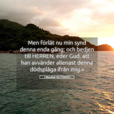 Picture 05 - 2 Mosebok 10:17 SV1917 - Men förlåt nu min synd denna enda gång; och - Bible Verse Picture