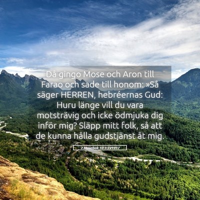 Picture 05 - 2 Mosebok 10:3 SV1917 - Då gingo Mose och Aron till Farao och sade till - Bible Verse Picture