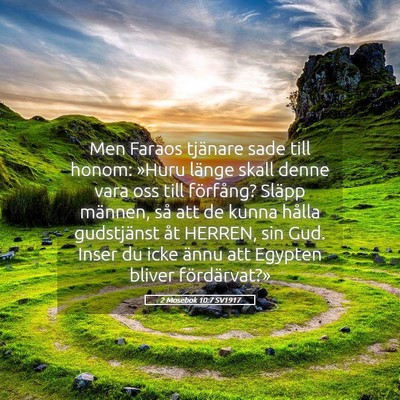 Picture 05 - 2 Mosebok 10:7 SV1917 - Men Faraos tjänare sade till honom: »Huru - Bible Verse Picture